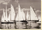 Larchmont Race Week